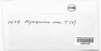 Phomopsis carnea image